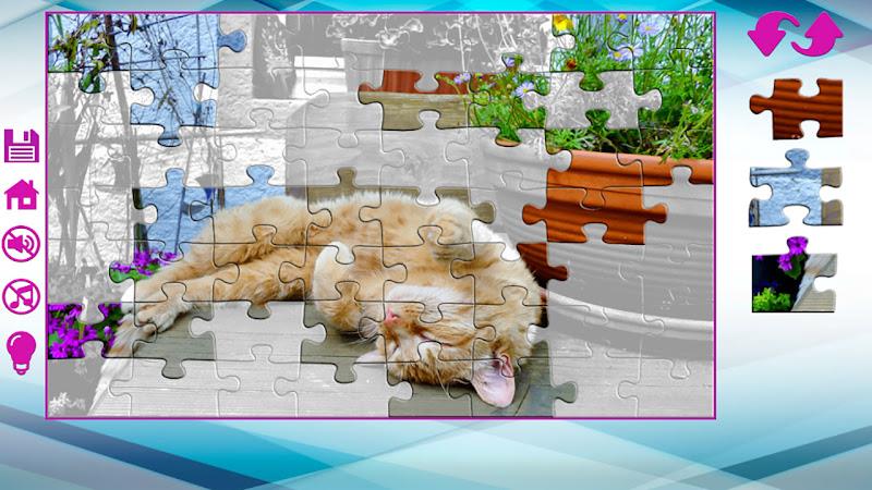 Big puzzles with cats Zrzut ekranu 2