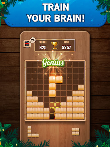 Wooden 100 Block Puzzle Game Ảnh chụp màn hình 0