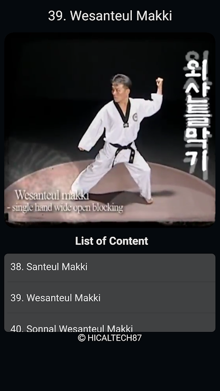 Taekwondo Basic Motions Screenshot 3