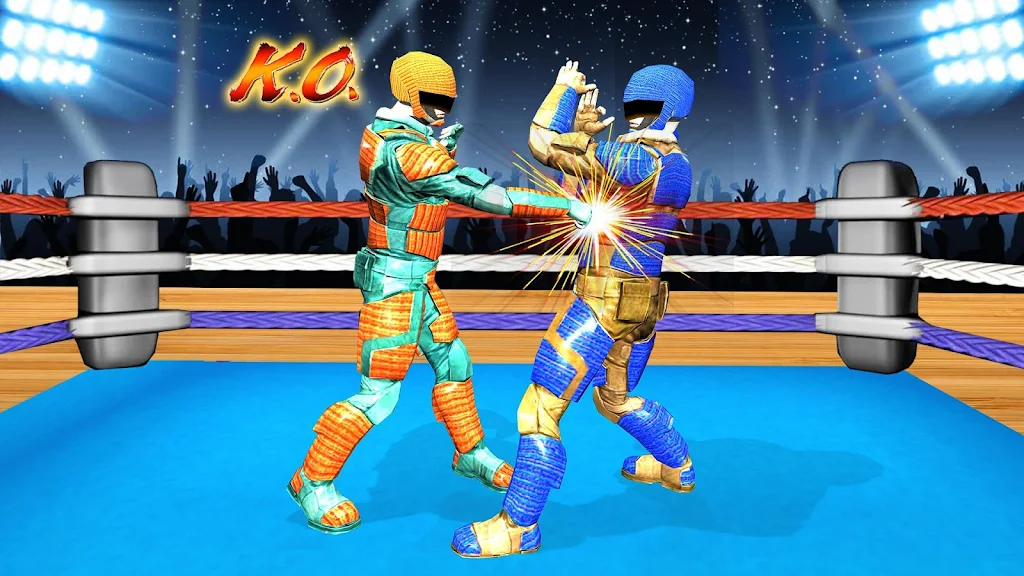 Real Robot Wrestling - Robot F Screenshot 2