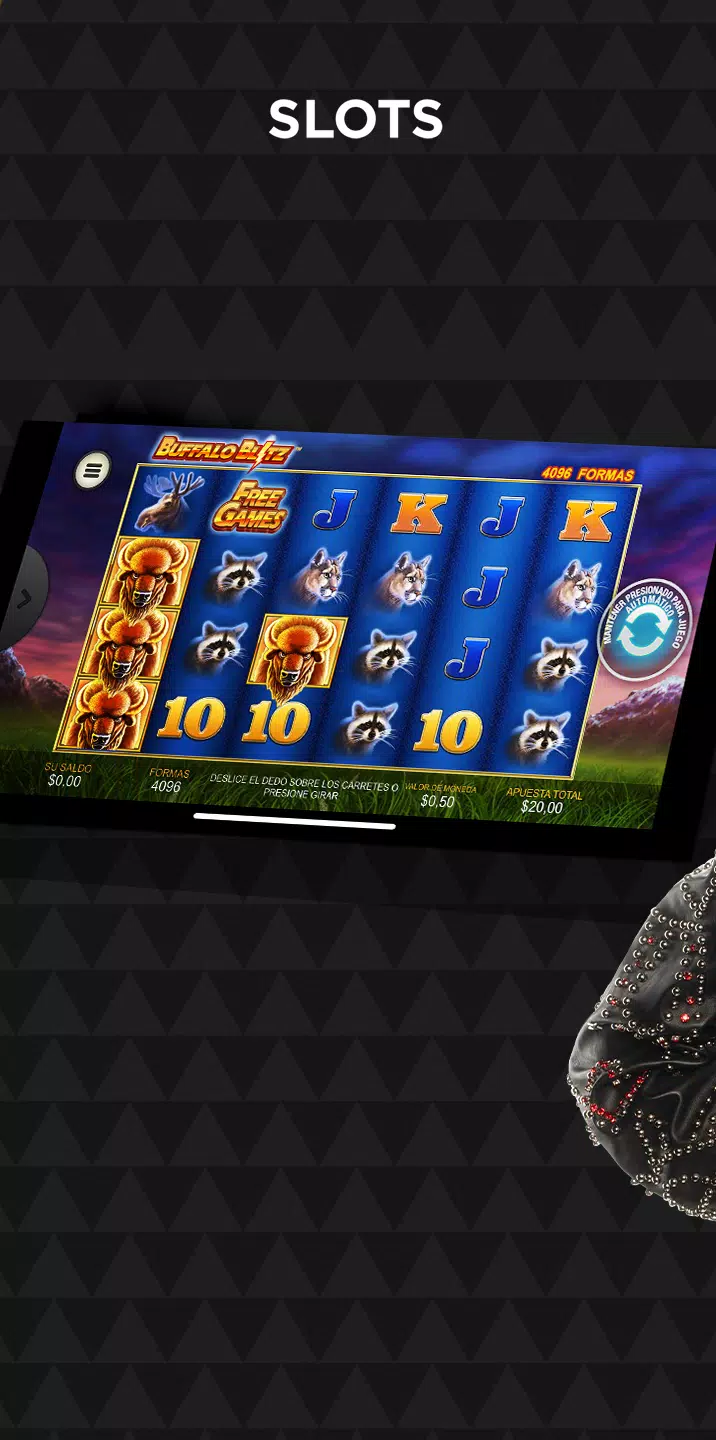 Winner Casino ဖန်သားပြင်ဓာတ်ပုံ 2