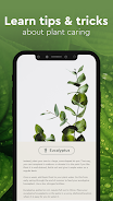 Nature Detect - Plant Identify Captura de pantalla 3