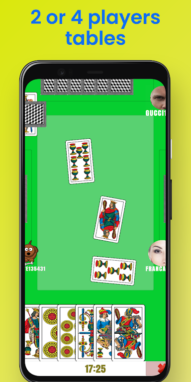 Scientific Broom Online স্ক্রিনশট 0