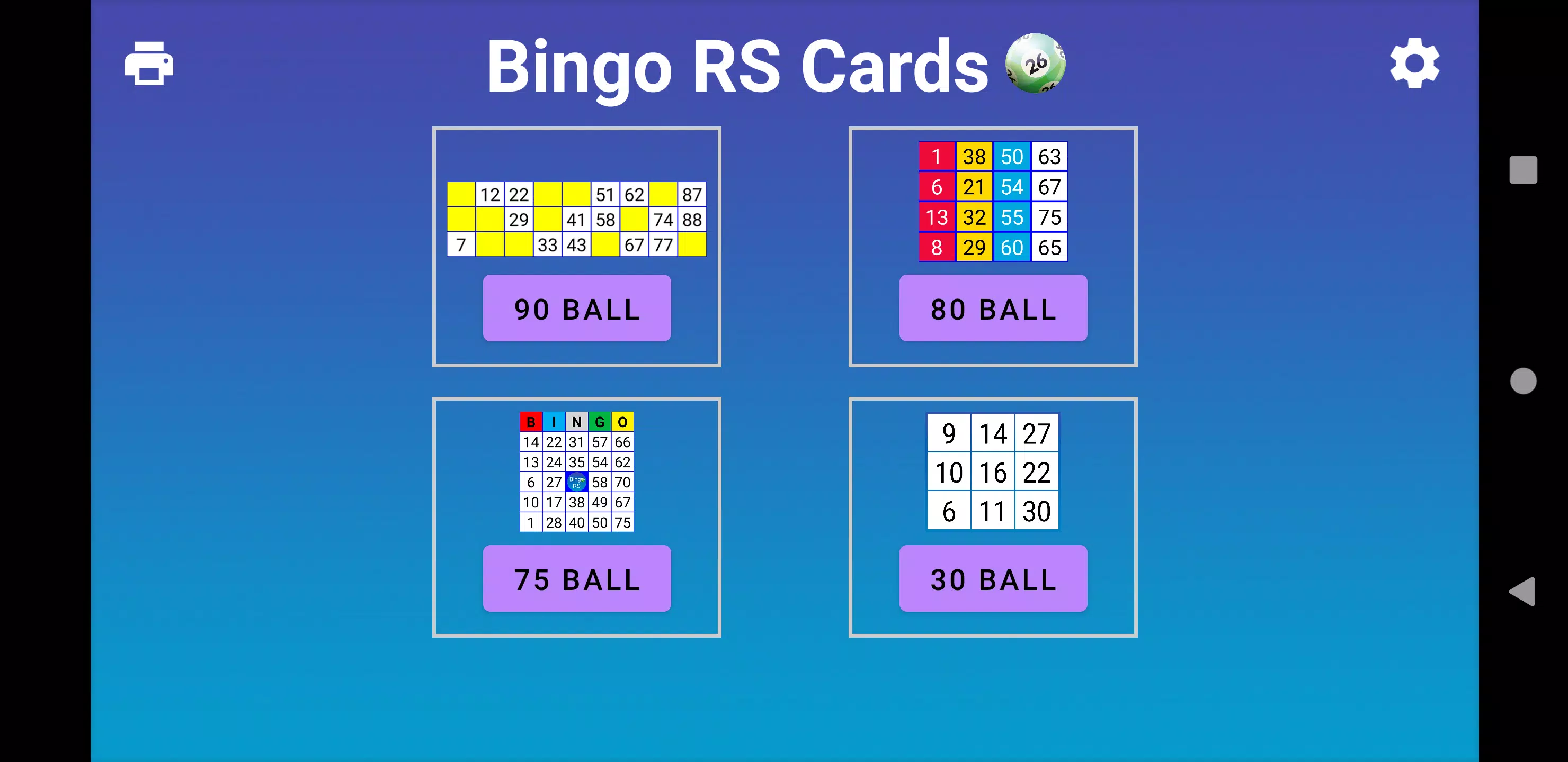 Bingo RS Cards Capture d'écran 0
