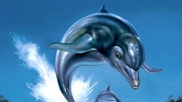 SEGA CHIAMAGGI ECCO IL DOLFIN, SPARCHING TITBATTO RUME 