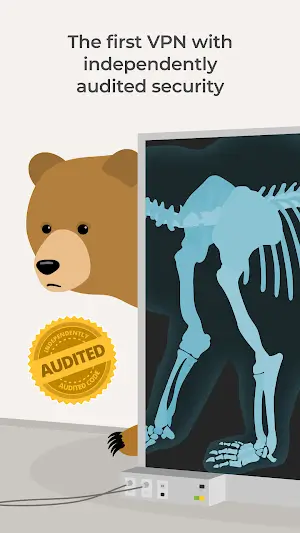 TunnelBear VPN Captura de tela 3