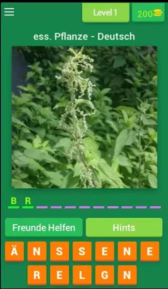 Pflanzen - Deutsch Captura de pantalla 0