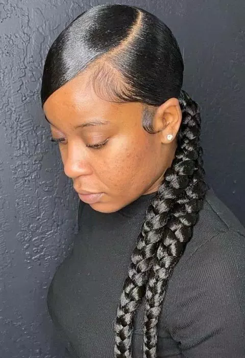 Sleek Braided Ponytail Styles Captura de pantalla 0