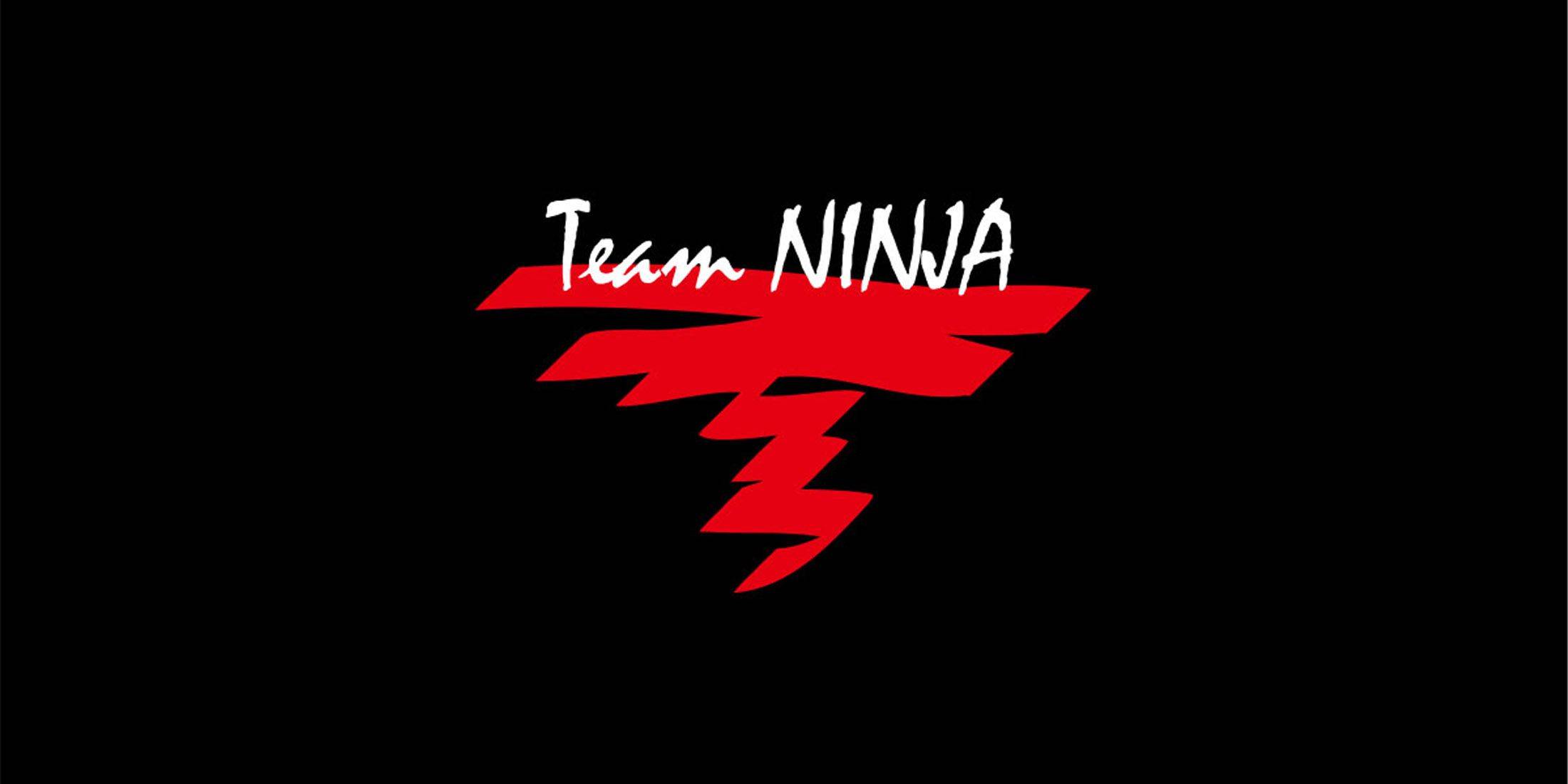 Il team Ninja prende in giro i piani del 30 ° anniversario