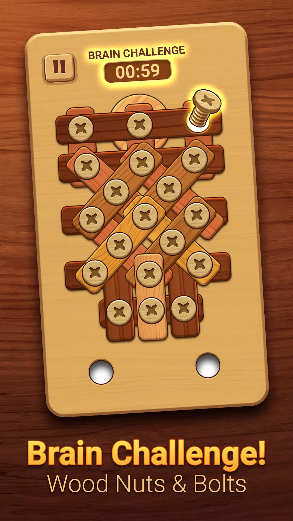 Woodle - Wood Screw Puzzle 스크린샷 2