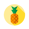 About Pineapple