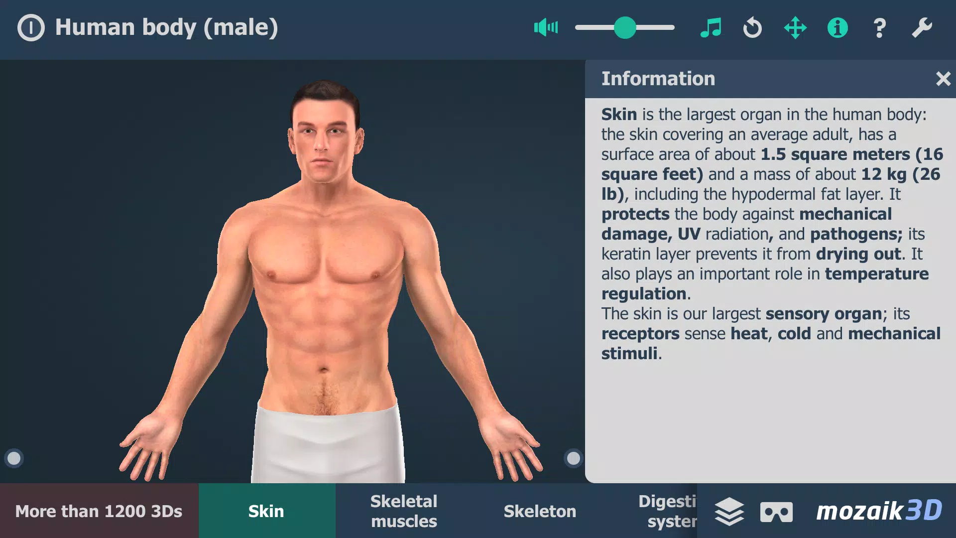 Human body (male) 3D scene ဖန်သားပြင်ဓာတ်ပုံ 0