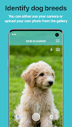 Dog Scanner: Breed Recognition Schermafbeelding 0