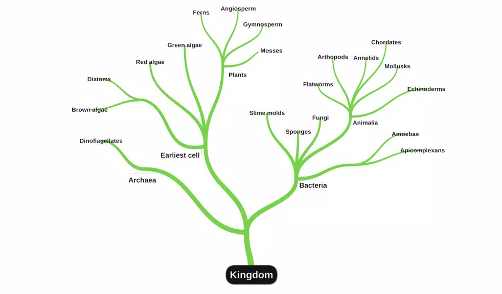 miMind - Easy Mind Mapping Скриншот 1