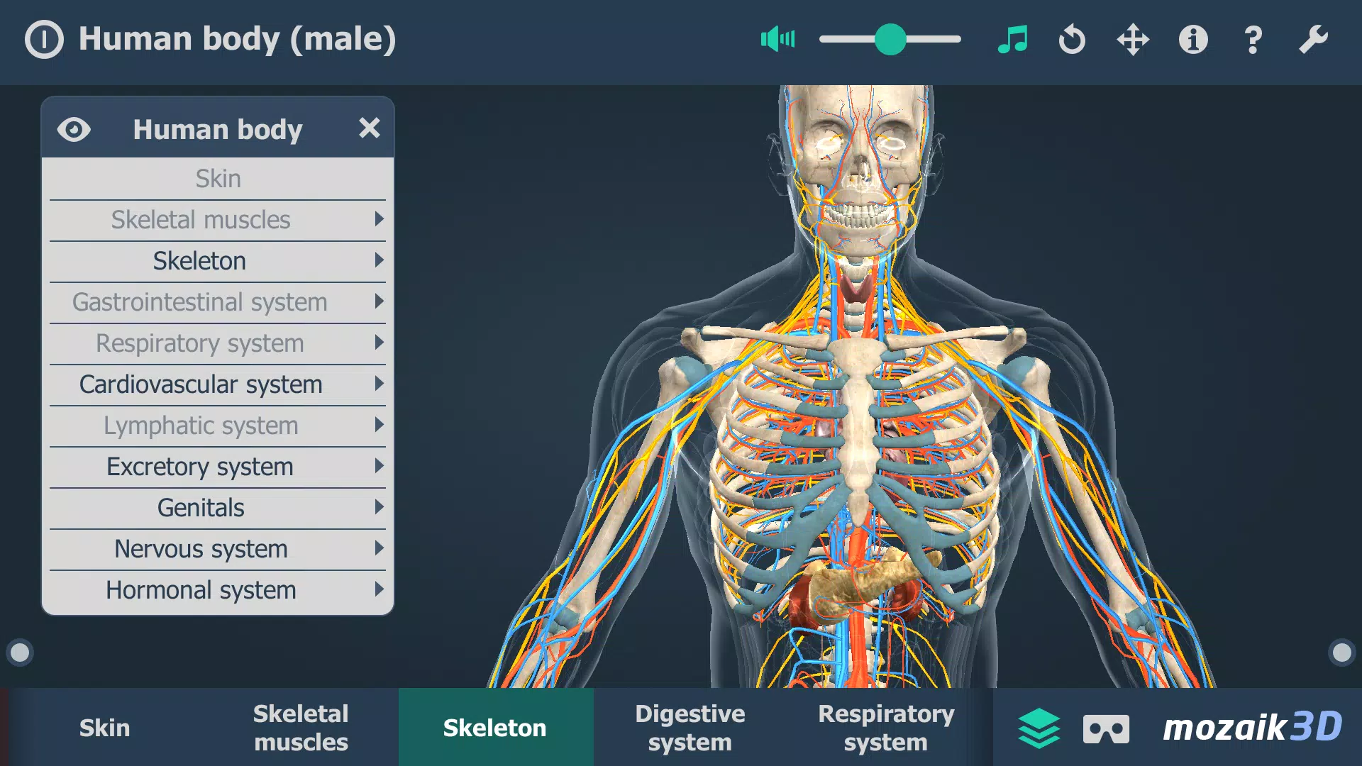 Human body (male) 3D scene ဖန်သားပြင်ဓာတ်ပုံ 3