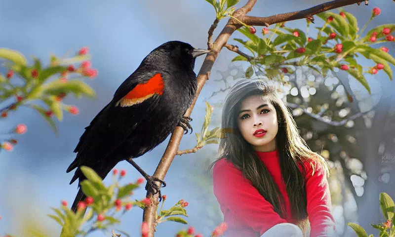 Birds Photo frame : Bird photo স্ক্রিনশট 3