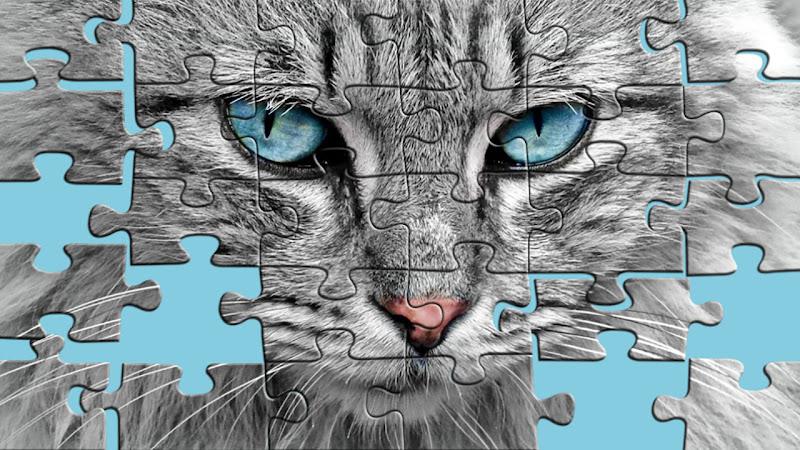 Big puzzles with cats Tangkapan skrin 0