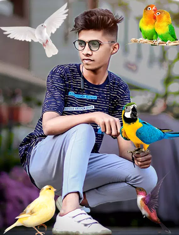 Birds Photo frame : Bird photo স্ক্রিনশট 2