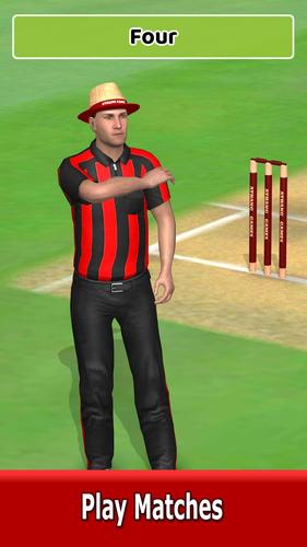 Cricket World Domination Captura de pantalla 2