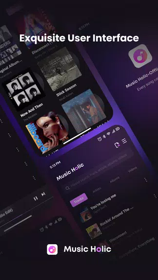 Music Holic-Offline Music Screenshot 2