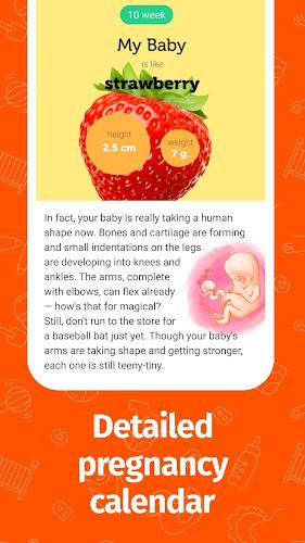 Pregnancy App and Baby Tracker应用截图第2张