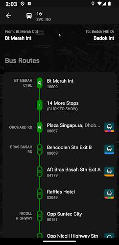 SG Bus Arrival Times ဖန်သားပြင်ဓာတ်ပုံ 3