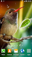 Hummingbirds Live Wallpaper Schermafbeelding 0