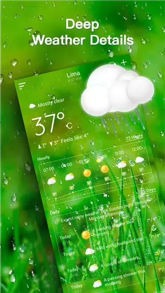 Live Weather Forecast Capture d'écran 2