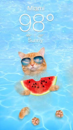 Weather Kitty - App & Widget應用截圖第1張