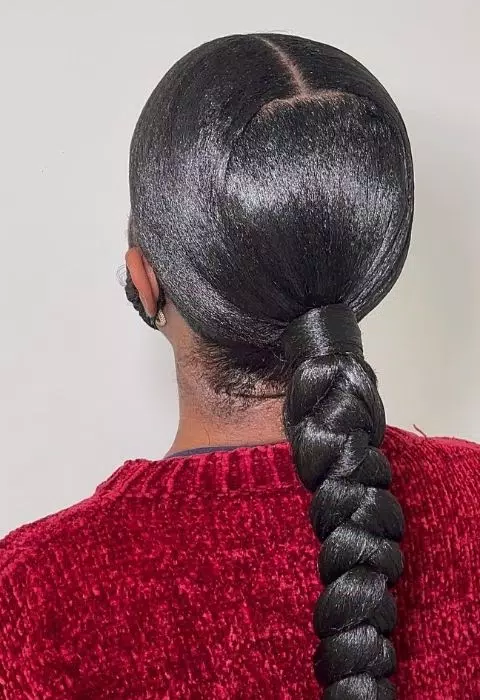 Sleek Braided Ponytail Styles Captura de pantalla 2