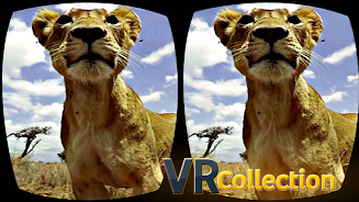 Pack of VR videos Captura de tela 2