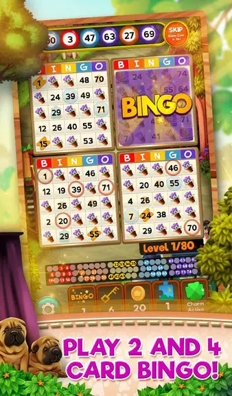 Bingo Pets Party: Dog Days Zrzut ekranu 0