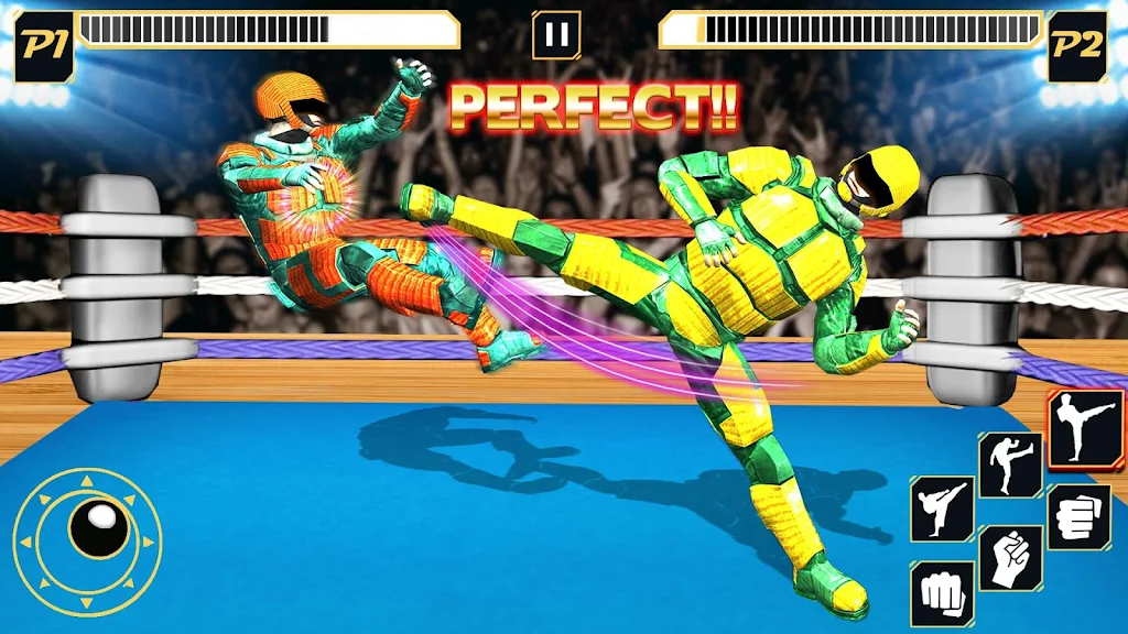 Real Robot Wrestling - Robot F Screenshot 0