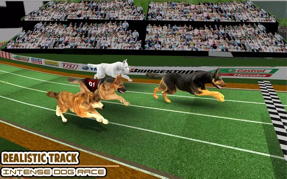 Dog racing games - dog game 3d स्क्रीनशॉट 0