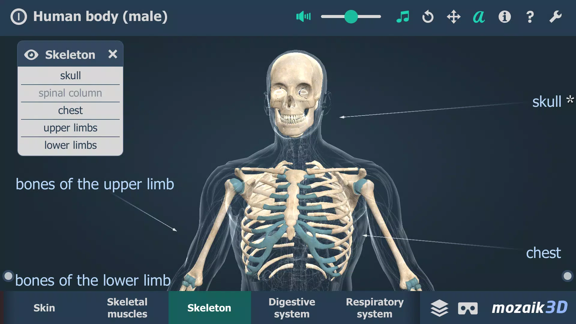 Human body (male) 3D scene ဖန်သားပြင်ဓာတ်ပုံ 2