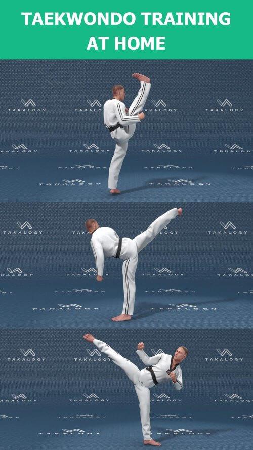 Mastering Taekwondo ：武术与自我防御應用截圖第1張