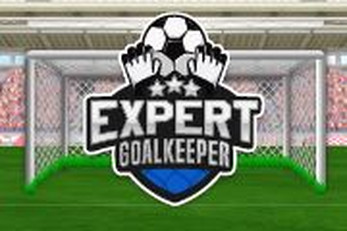 Expert goalkeeper 2022 স্ক্রিনশট 0