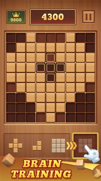 Wood Block 99 - Sudoku Puzzle應用截圖第1張