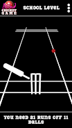 Blind Cricket Schermafbeelding 2