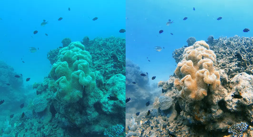 UwEdit - Diving footage editor应用截图第2张