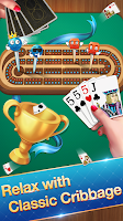 Cribbage - Card Game ဖန်သားပြင်ဓာတ်ပုံ 1