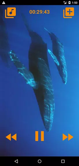 Whales songs to sleep Ảnh chụp màn hình 2