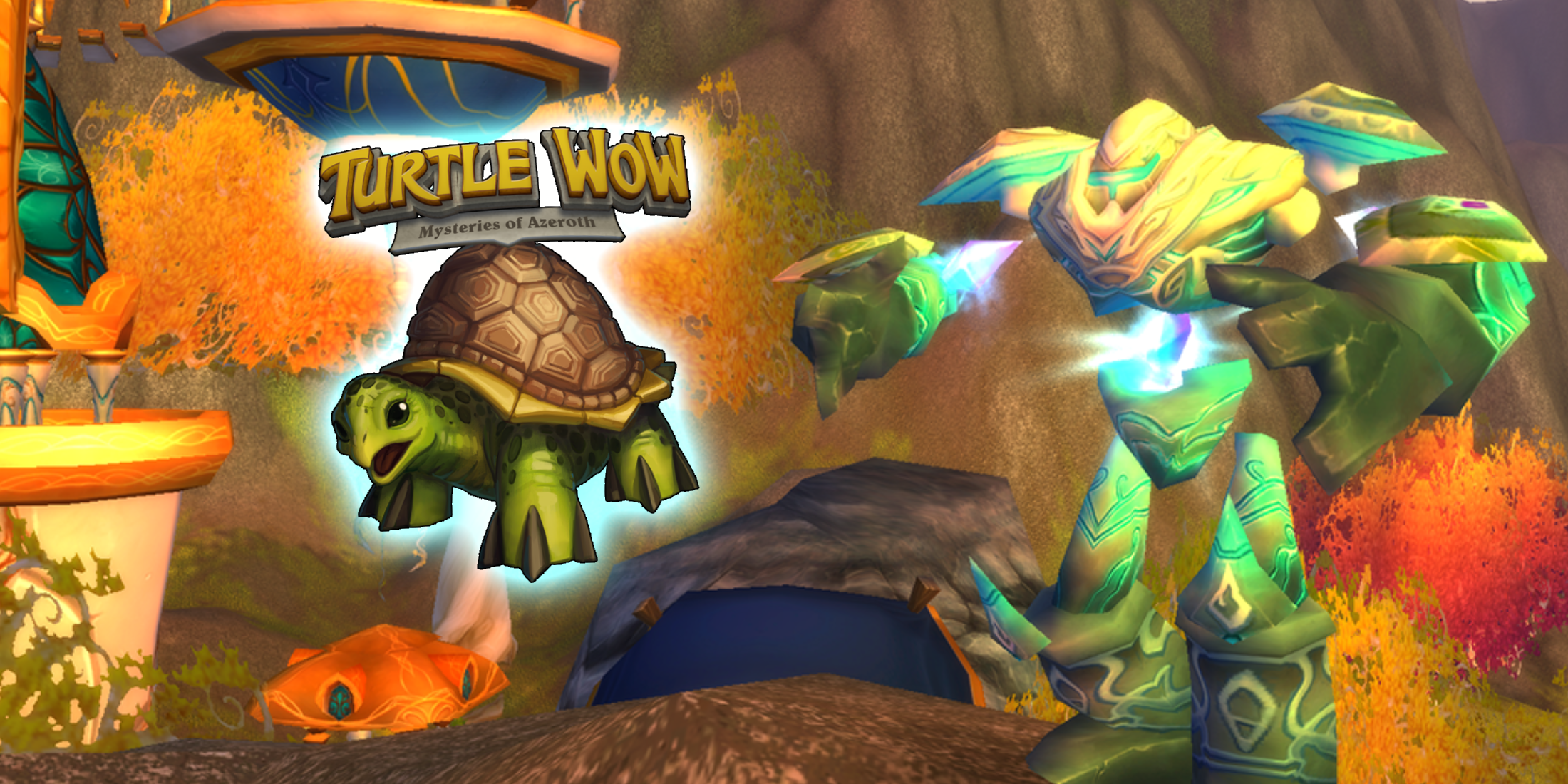 6 différences majeures entre le classique wow et la tortue wow