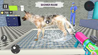 Animal Shelter: Pet Rescue 3D应用截图第0张