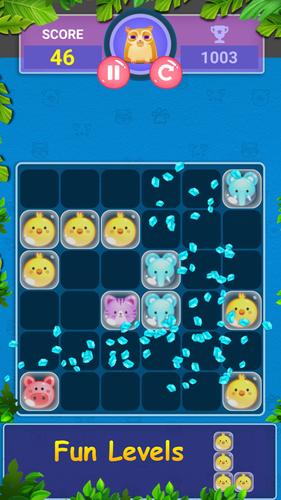 Block Game Puzzle of Pet World應用截圖第1張