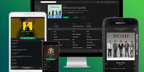 Spotify Vanced স্ক্রিনশট 2