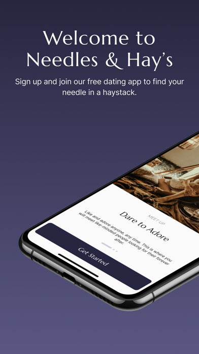 Needles and Hays Dating App Tangkapan skrin 0