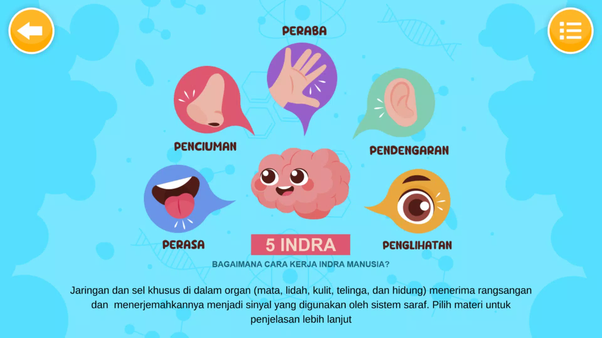 Sistem Indra Manusia Скриншот 1