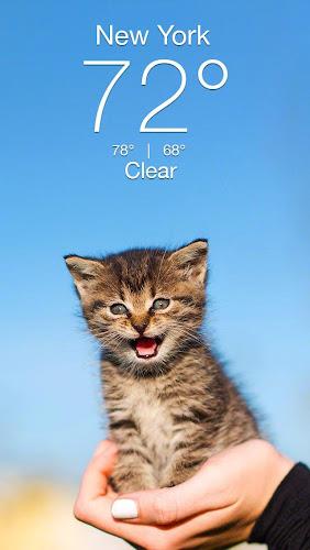 Weather Kitty - App & Widget Capture d'écran 0