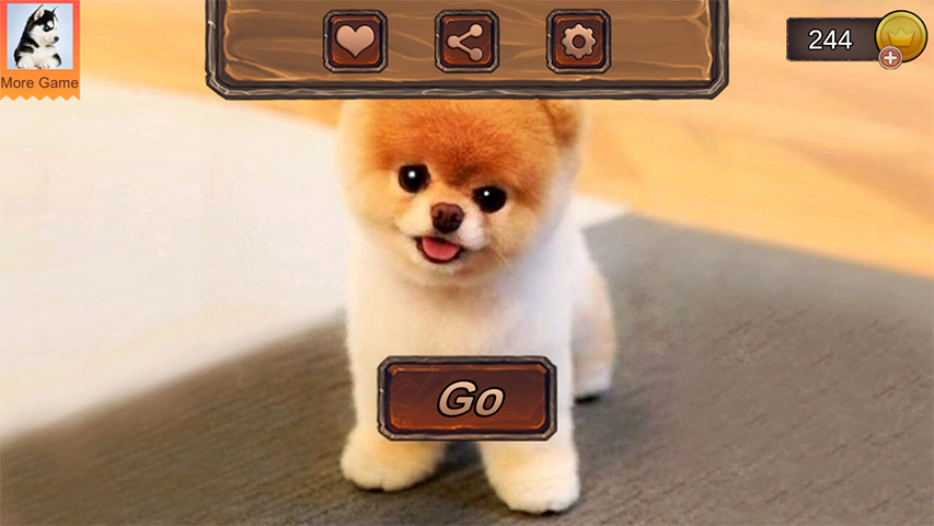 Pomeranian Dog Simulator ဖန်သားပြင်ဓာတ်ပုံ 0